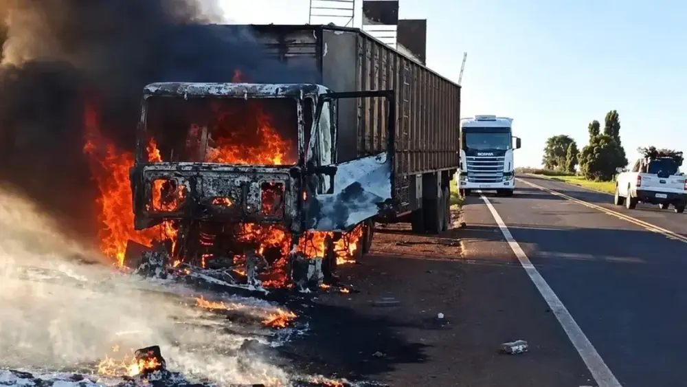 Carreta pega fogo e bois são soltos na MS-395