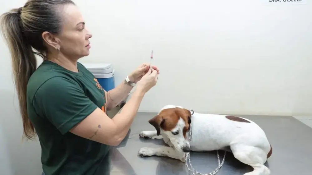 Consultório Móvel atende cães e gatos de graça no Aeroporto