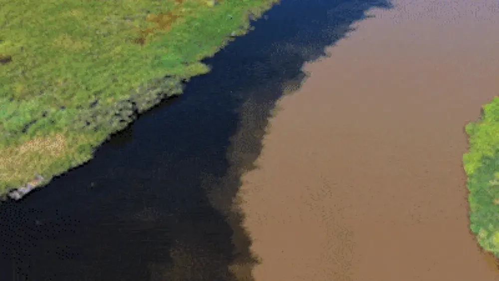 Encontro de rios cria contraste belo no Pantanal
