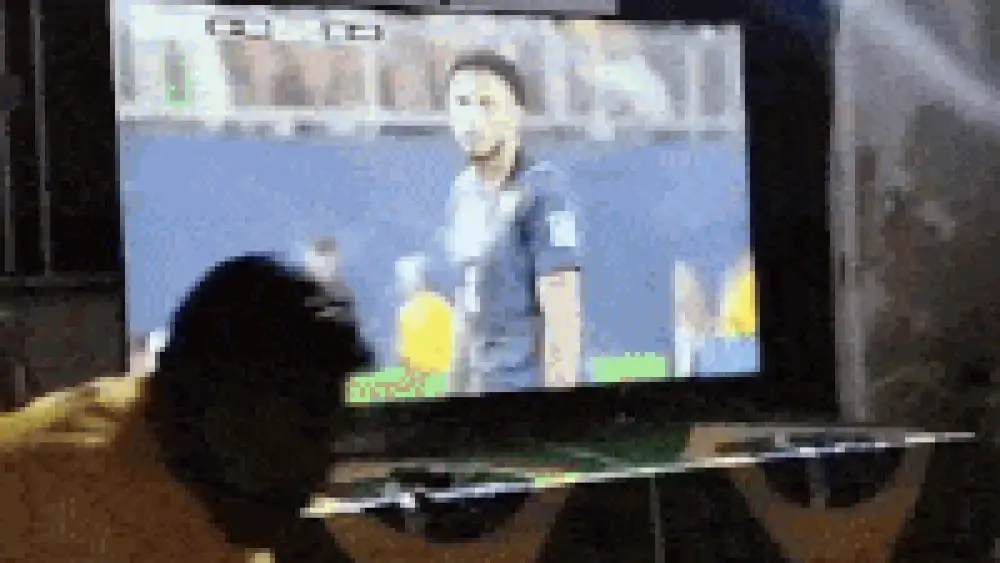 Família de Éderson celebra estreia do volante na Copa do Mundo