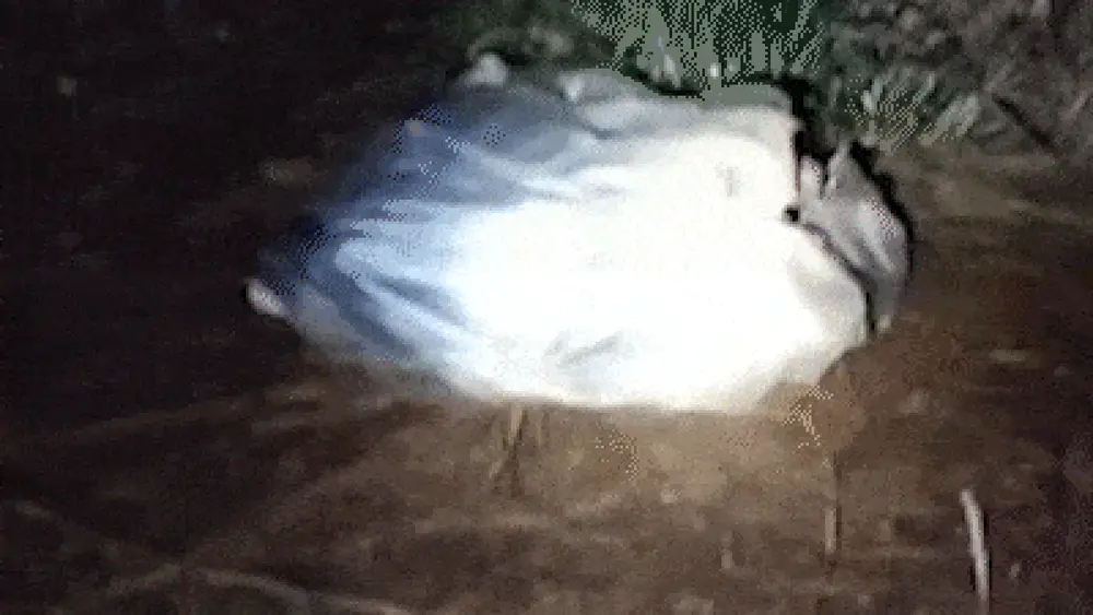 Homem vive em sacola às margens da BR-163 com frio abaixo de 5°C