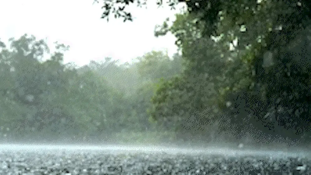 Rio da Prata mantém águas cristalinas mesmo sob chuva em Jardim