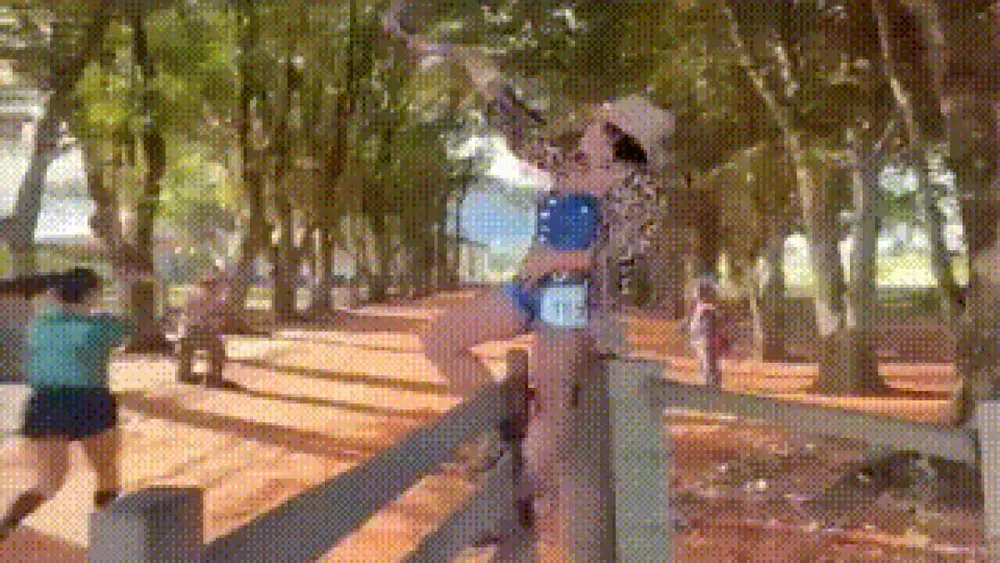 Tanikyta: corredora de onça e berrante vira sensação