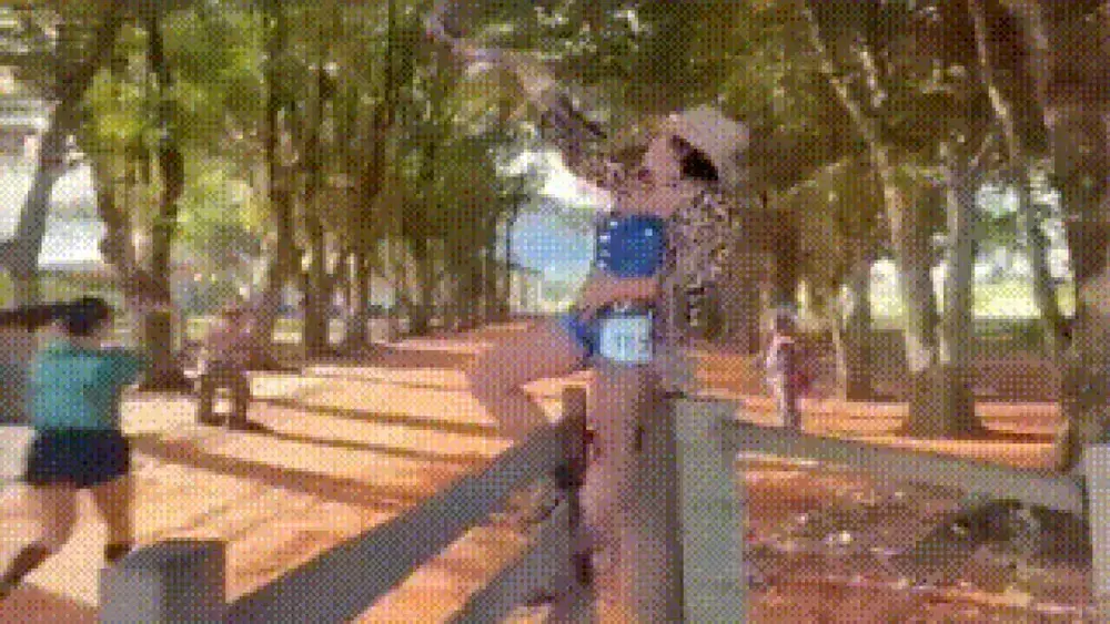 Tanikyta: corredora de onça e berrante vira sensação