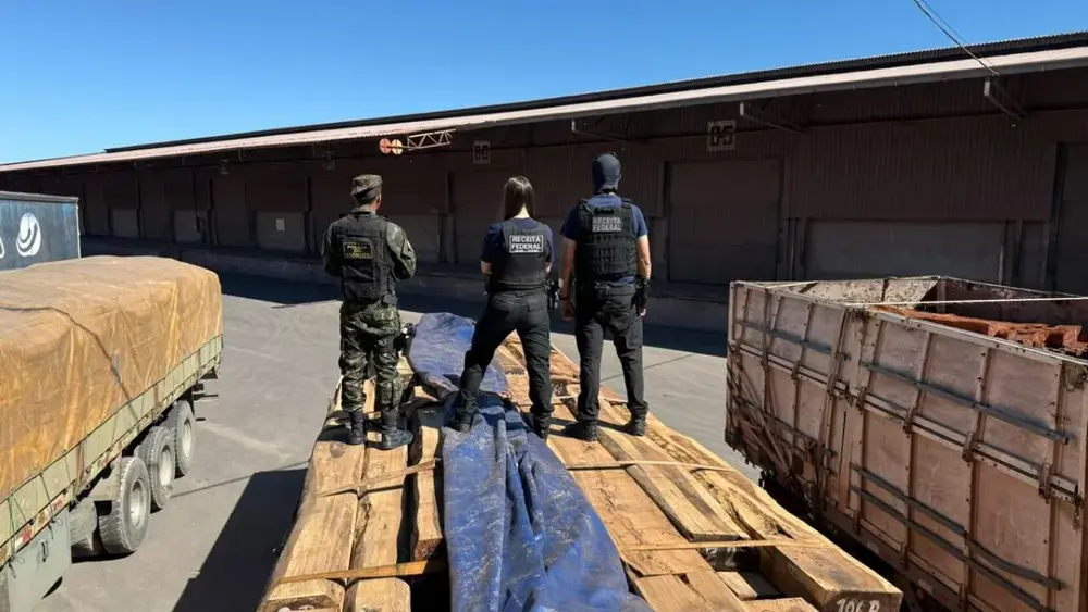 Teste químico nega cocaína em madeira apreendida