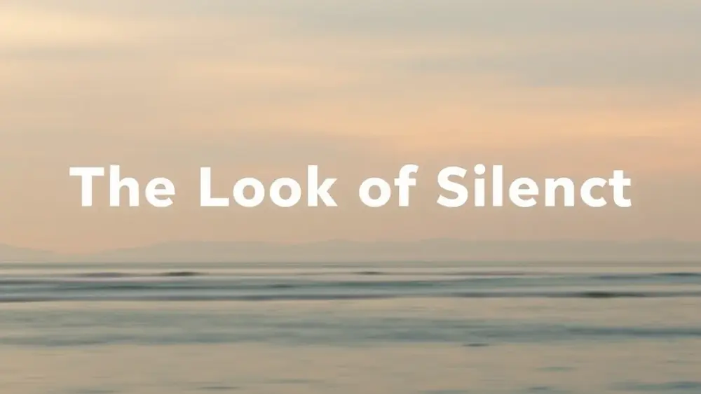 The Look of Silence filme: resumo sem spoilers, bem direto