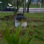 Botijão pega fogo antes do Arraial de Santo Antônio em Campo Grande