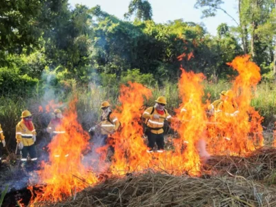 Brigadas do Pantanal aprendem a usar fogo para prevenir incêndios
