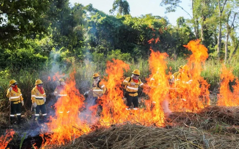 Brigadas do Pantanal aprendem a usar fogo para prevenir incêndios
