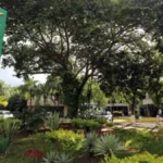 Empresários são condenados a pagar R$ 1 milhão por fraude em compra de mapas